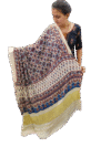 Ajrakh Modal Silk Dupatta